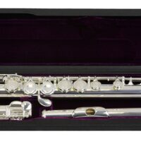 Trevor James TJ10x Flute outfit