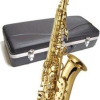 J Michael Alto Saxophone outfit
