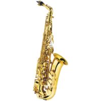 J Michael Alto saxophone outfit