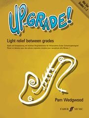 Up-grade alto saxophone 1-2 Wedgewood