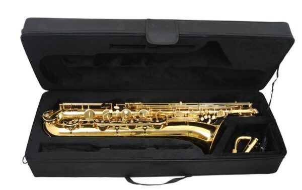 Trevor James Vivace Baritone saxophone