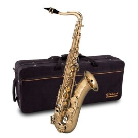 Elkhart 100TS Tenor Saxophone