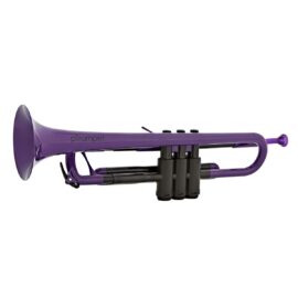 pTrumpet Purple plastic trumpet