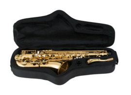 Trevor James EVO Tenor sax outfit