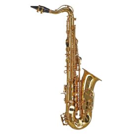 Gewa Ambition AS655 Eb Alto Children's Saxophone
